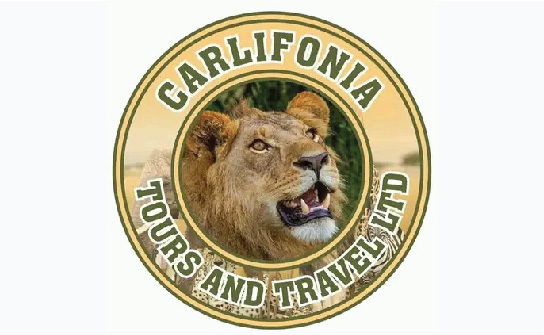 Carlifonia